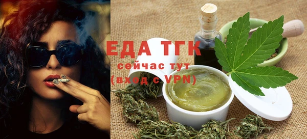 дживик Сясьстрой